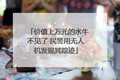 价值上万元的水牛不见了 民警用无人机发现其踪迹