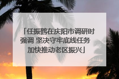 任振鹤在庆阳市调研时强调 坚决守牢底线任务 加快推动老区振兴