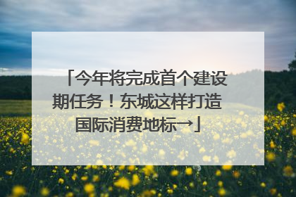 今年将完成首个建设期任务！东城这样打造国际消费地标→