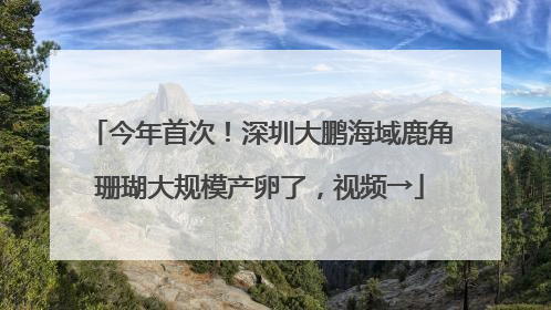 今年首次！深圳大鹏海域鹿角珊瑚大规模产卵了，视频→