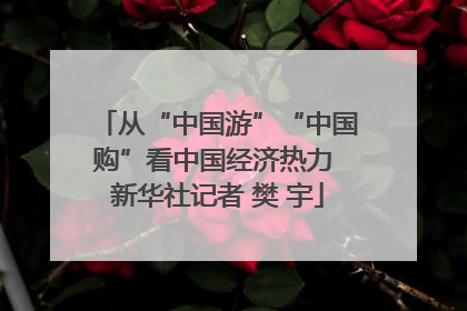 从“中国游”“中国购”看中国经济热力 新华社记者 樊 宇