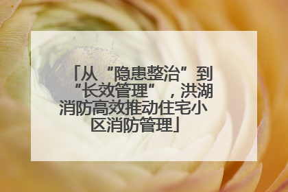 从“隐患整治”到“长效管理”，洪湖消防高效推动住宅小区消防管理