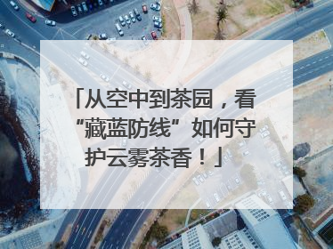 从空中到茶园，看“藏蓝防线”如何守护云雾茶香！