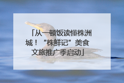 从一顿饭读懂株洲城！“株鲜记”美食文旅推广季启动