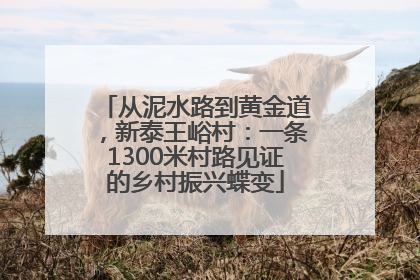 从泥水路到黄金道,新泰王峪村:一条1300米村路见证的乡村振兴蝶变