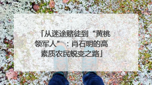 从迷途赌徒到“黄桃领军人”：肖石明的高素质农民蜕变之路