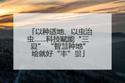 以种适地、以虫治虫……科技赋能“三夏” “智慧种地”绘就好“丰”景