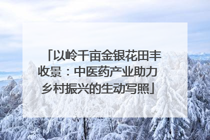 以岭千亩金银花田丰收景：中医药产业助力乡村振兴的生动写照