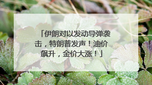 伊朗对以发动导弹袭击，特朗普发声！油价飙升，金价大涨！