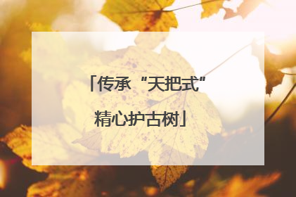 传承“天把式” 精心护古树