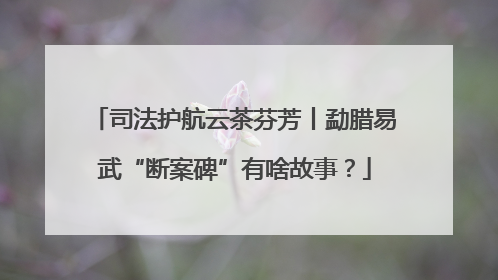 司法护航云茶芬芳丨勐腊易武“断案碑”有啥故事？
