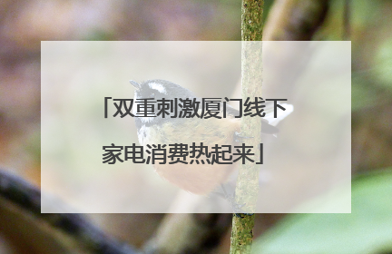 双重刺激厦门线下家电消费热起来
