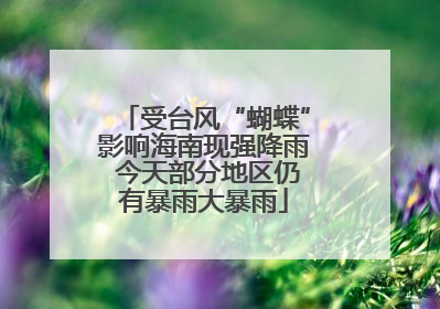 受台风“蝴蝶”影响海南现强降雨 今天部分地区仍有暴雨大暴雨