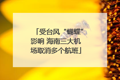 受台风“蝴蝶”影响 海南三大机场取消多个航班