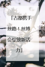 古都携手丝路！丝博会绽放新活力