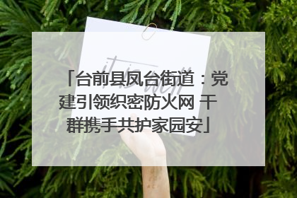 台前县凤台街道：党建引领织密防火网 干群携手共护家园安