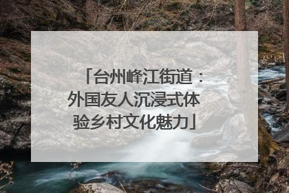 台州峰江街道：外国友人沉浸式体验乡村文化魅力