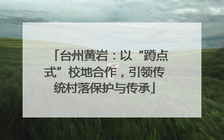 台州黄岩：以“蹲点式”校地合作，引领传统村落保护与传承
