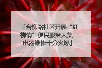 台柳路社区开展“红柳情”便民服务大集 电器维修十分火爆