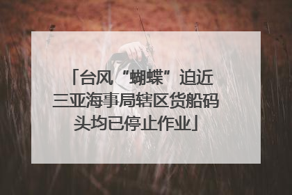 台风“蝴蝶”迫近 三亚海事局辖区货船码头均已停止作业