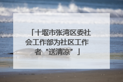 十堰市张湾区委社会工作部为社区工作者“送清凉”