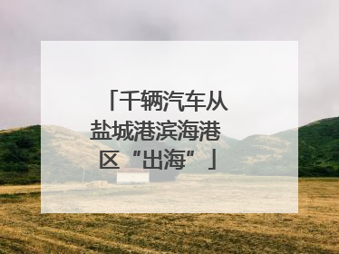 千辆汽车从盐城港滨海港区“出海”