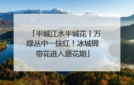 半城江水半城花丨万绿丛中一抹红！冰城锦带花进入盛花期