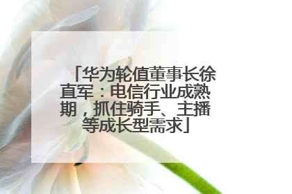 华为轮值董事长徐直军：电信行业成熟期，抓住骑手、主播等成长型需求