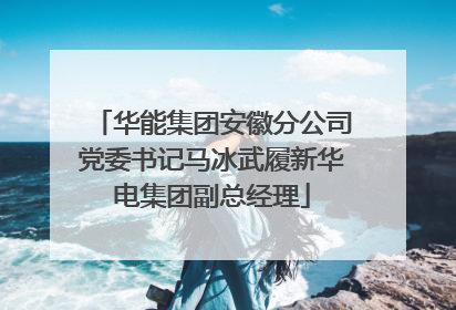 华能集团安徽分公司党委书记马冰武履新华电集团副总经理