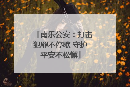 南乐公安：打击犯罪不停歇 守护平安不松懈