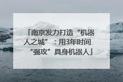 南京发力打造“机器人之城”：用3年时间“强攻”具身机器人