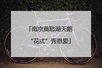 南京莫愁湖天鹅“花式”秀恩爱