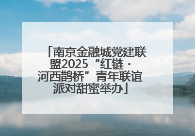 南京金融城党建联盟2025“红链・河西鹊桥”青年联谊派对甜蜜举办