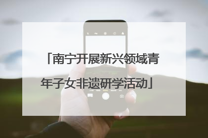 南宁开展新兴领域青年子女非遗研学活动