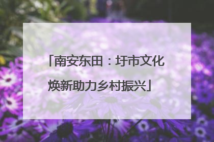 南安东田：圩市文化焕新助力乡村振兴