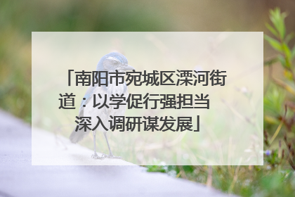 南阳市宛城区溧河街道：以学促行强担当 深入调研谋发展