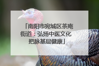 南阳市宛城区茶庵街道：弘扬中医文化 把脉基层健康
