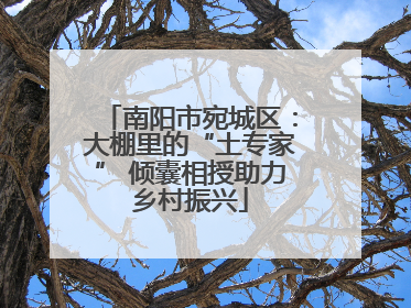 南阳市宛城区：大棚里的“土专家” 倾囊相授助力乡村振兴