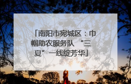 南阳市宛城区：巾帼助农服务队 “三夏”一线绽芳华
