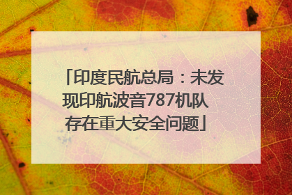 印度民航总局：未发现印航波音787机队存在重大安全问题