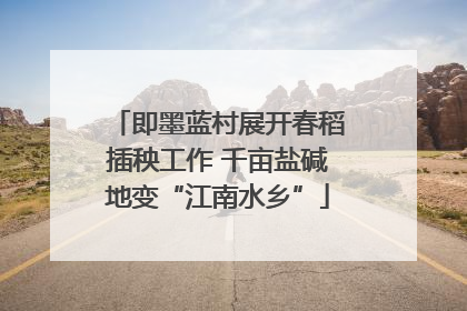 即墨蓝村展开春稻插秧工作 千亩盐碱地变“江南水乡”