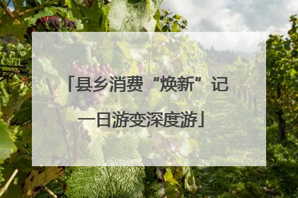 县乡消费“焕新”记 一日游变深度游