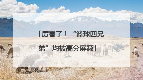 厉害了！“篮球四兄弟”均被高分屏蔽