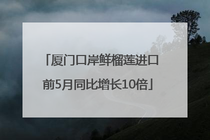 厦门口岸鲜榴莲进口 前5月同比增长10倍