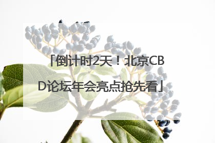 倒计时2天！北京CBD论坛年会亮点抢先看