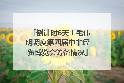 倒计时6天！毛伟明调度第四届中非经贸博览会筹备情况