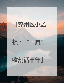 兖州区小孟镇：“三夏”收割话丰年