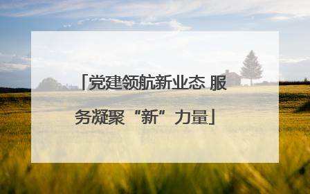 党建领航新业态 服务凝聚“新”力量