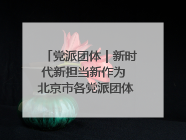 党派团体｜新时代新担当新作为 北京市各党派团体这么干！