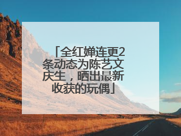 全红婵连更2条动态为陈艺文庆生，晒出最新收获的玩偶